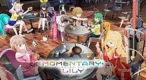 Momentary Lily